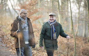 header image-woodlands