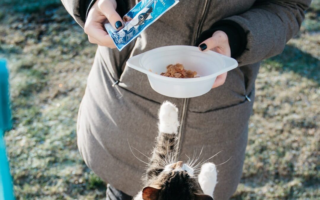 Mars launch recycled plastic partnership for pet food packaging