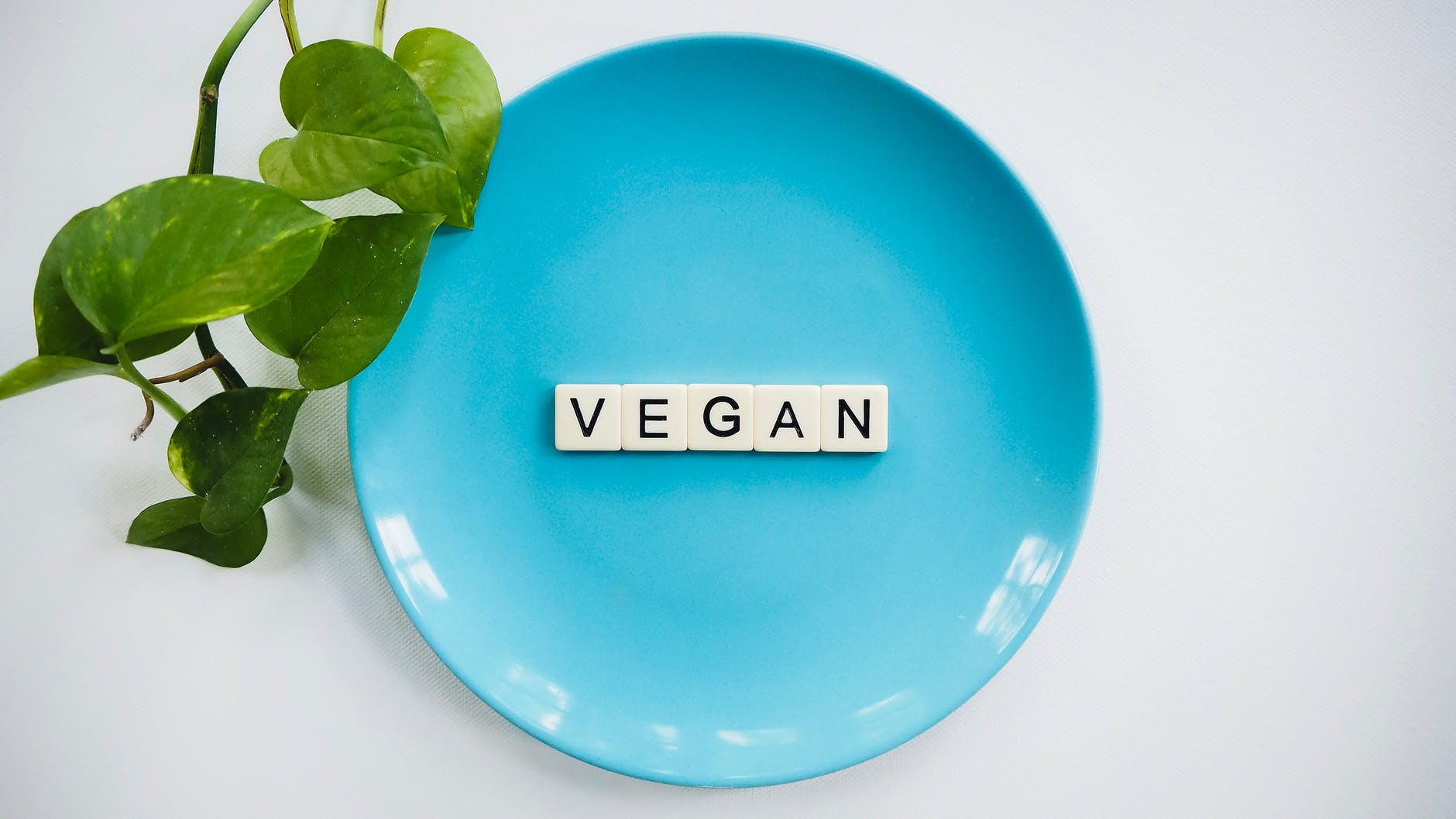 Vegan-friendly header