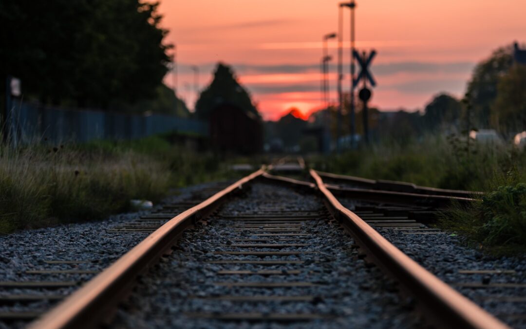 Environmental protest against HS2 railway project continues