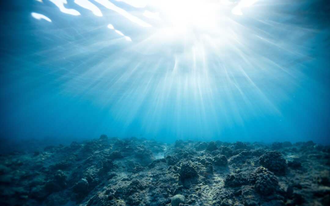 Indonesia sets sights on sustainable fishing by 2025