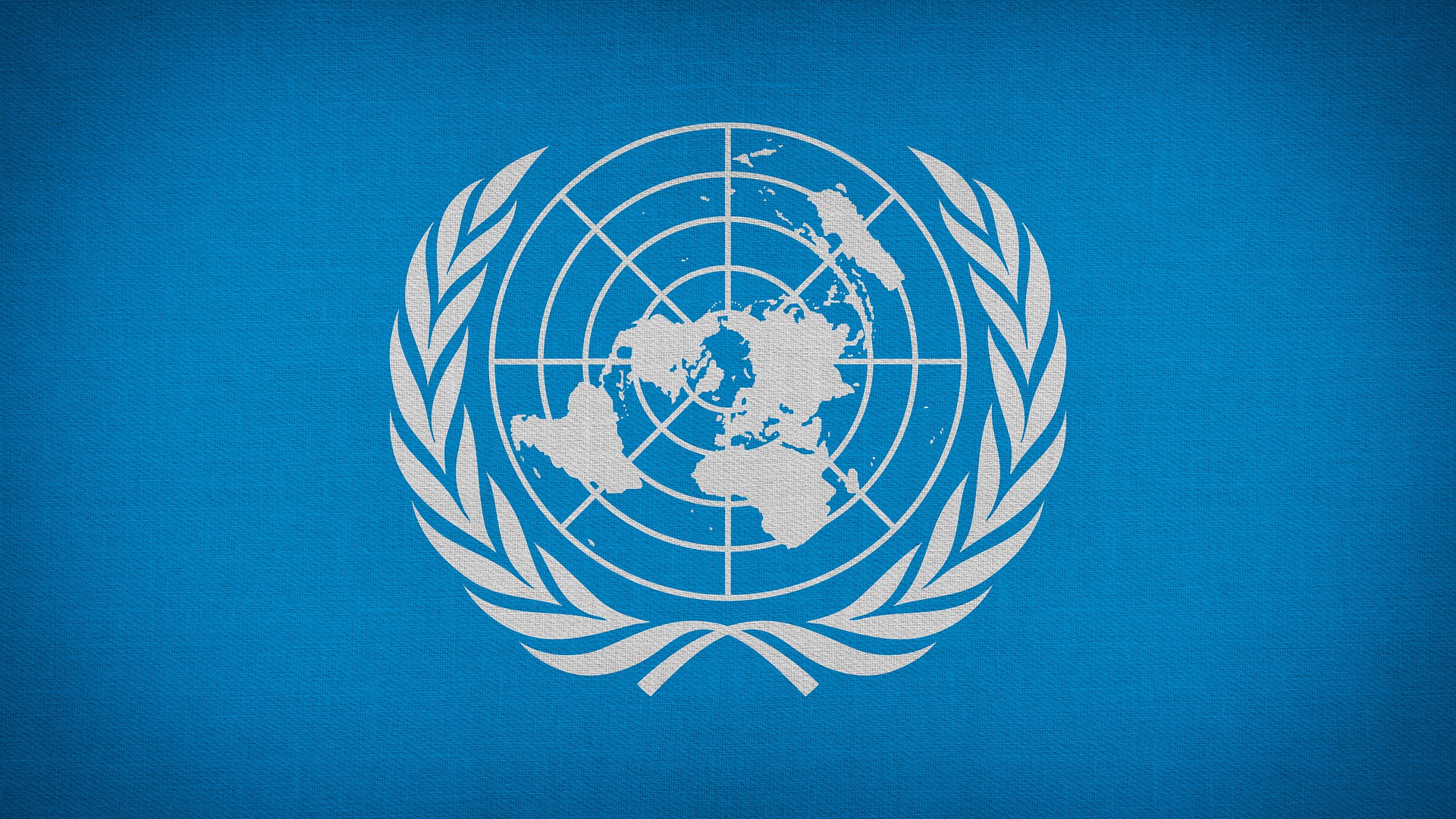 What are the 17 UN Sustainable Developme...
