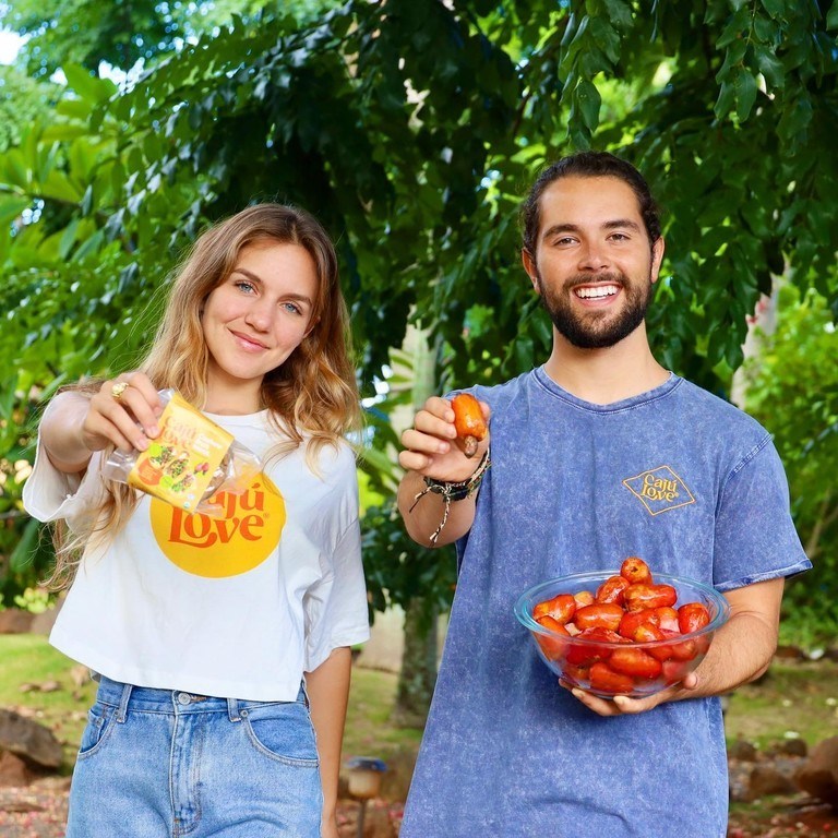 header image - cashew fruit