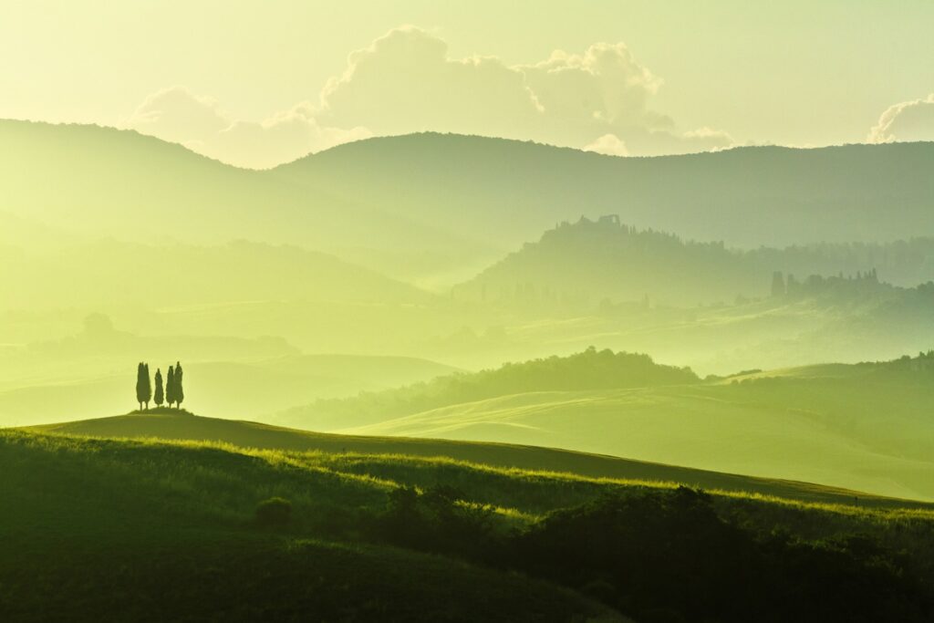 landowners - header image