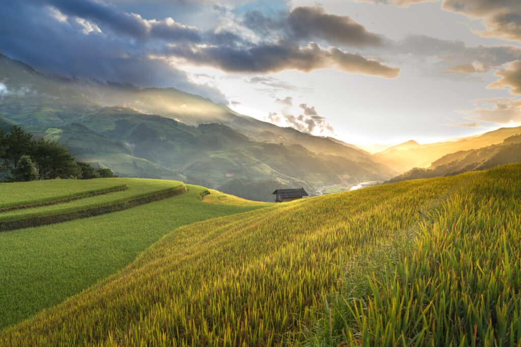 header image - food production