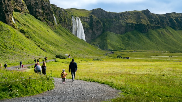 People walking along a scenic gravel path through a vibrant green valley with wildflowers, leading toward a tall waterfall cascading down a cliff in Iceland.
