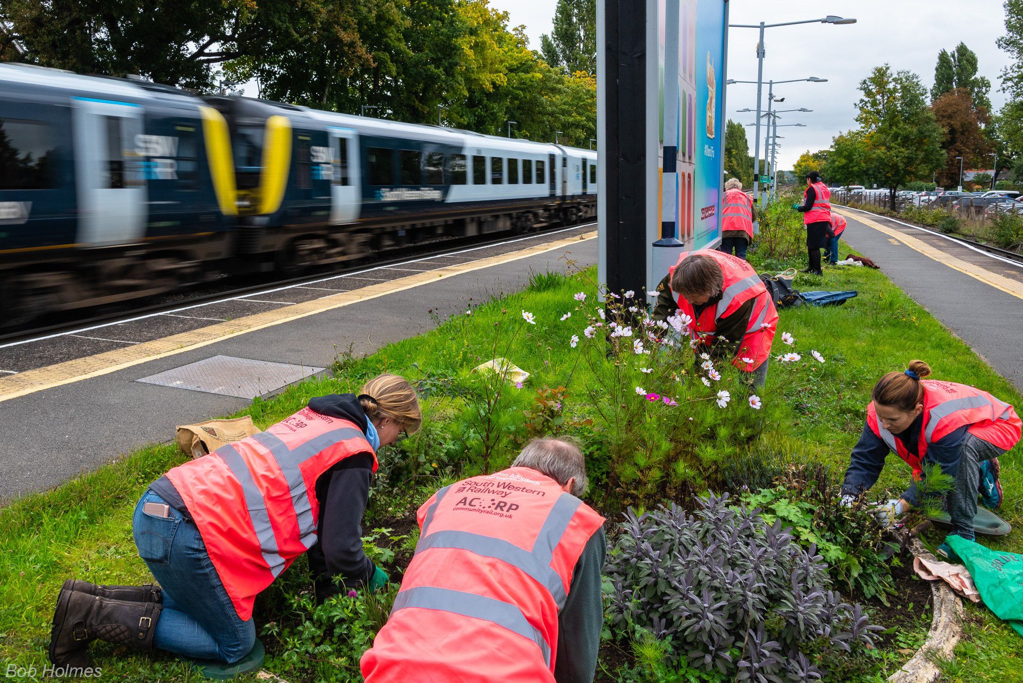 Volunteers in high-visibility vests engage in outdoor activities at West Byfleet railway station, planting bulbs and maintaining a garden space, while a South Western Railway train passes by on the tracks.