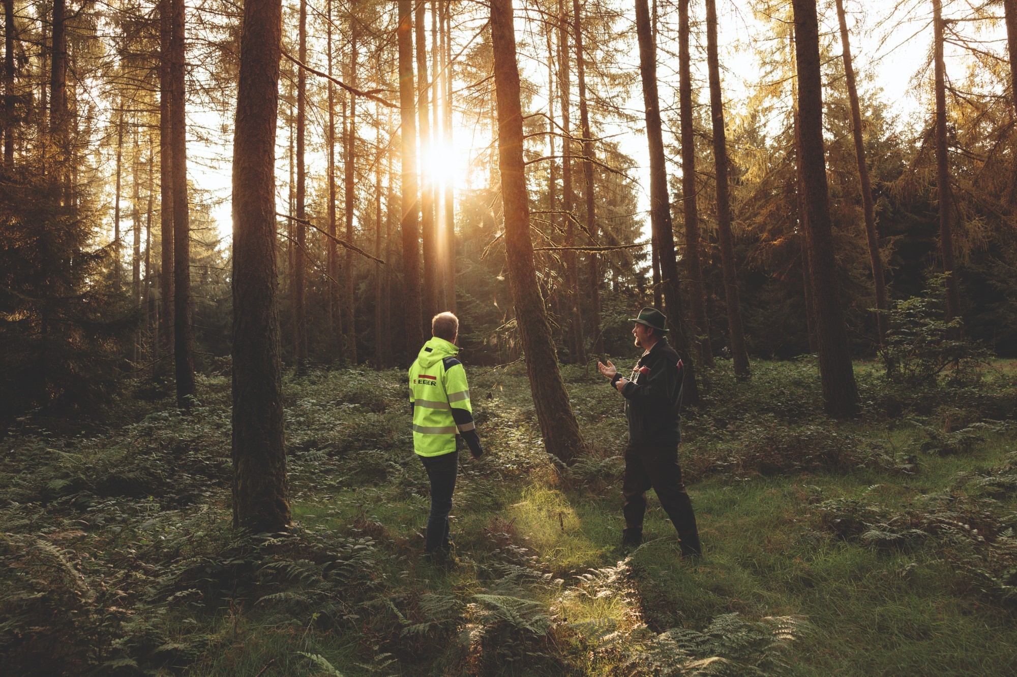 Two people in a sunlit forest discussing sustainable forestry as part of the EGGER sustainability strategy.