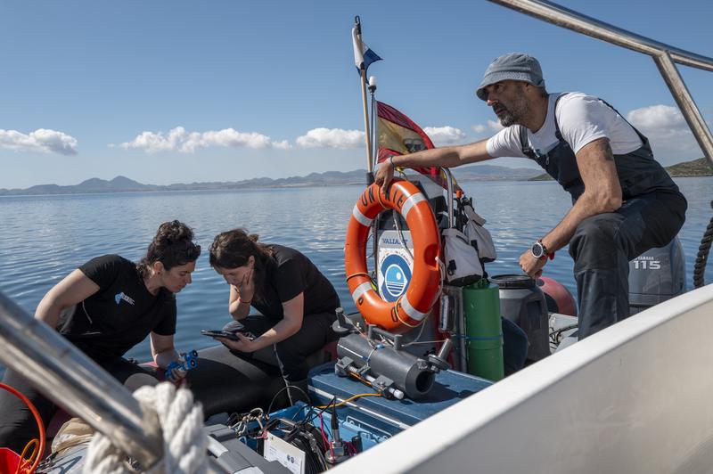 Oceans Restored: UN Names New Global Fla...