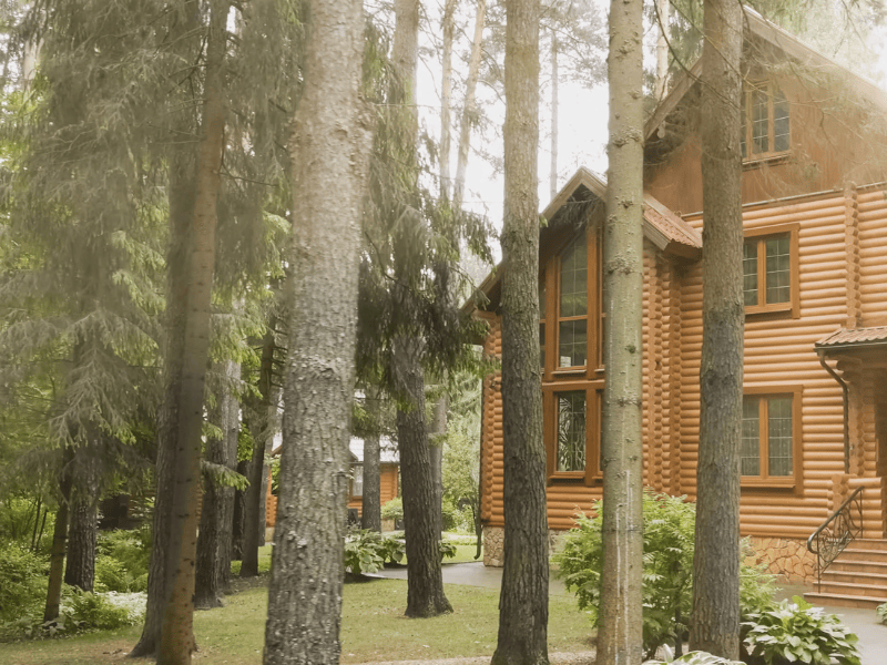 Rustic wooden cabin surrounded by dense pine trees, representing forest homes in a natural woodland setting.