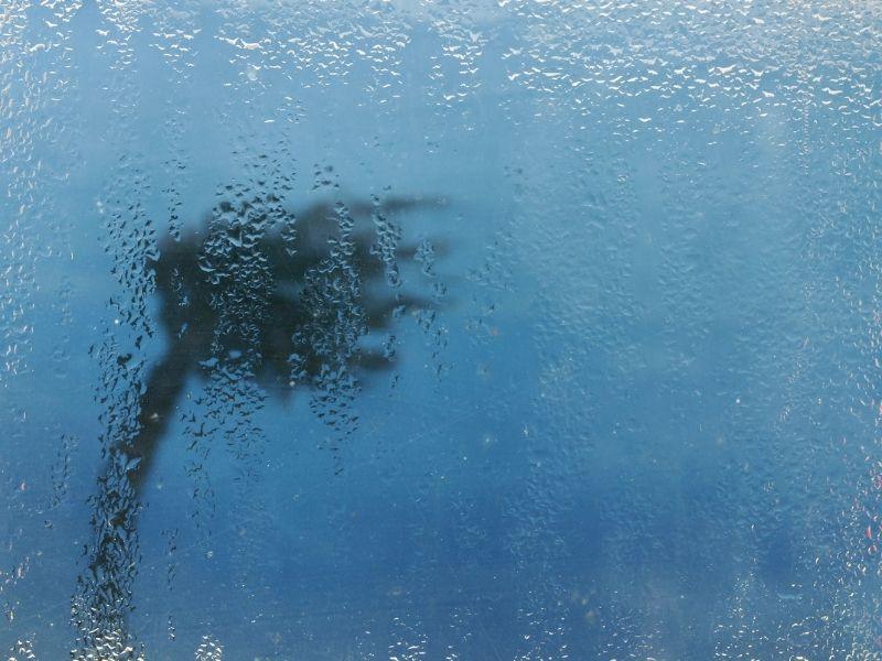 Blurred palm tree seen through rain-covered glass during a storm, evoking the question: does Europe get hurricanes?
