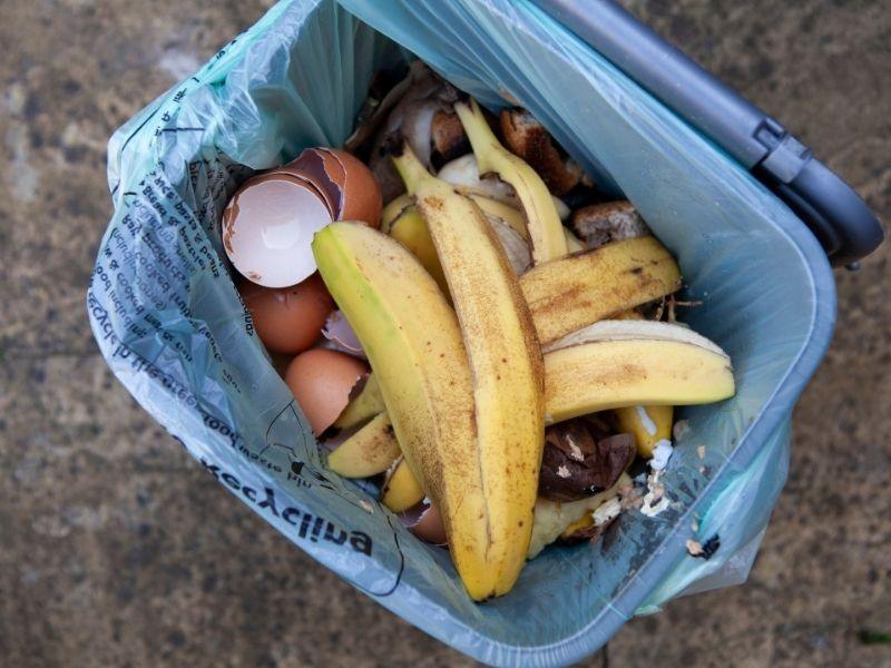 Organic food waste in a bin with banana peels and eggshells, illustrating composting and biodegradable recycling solutions.