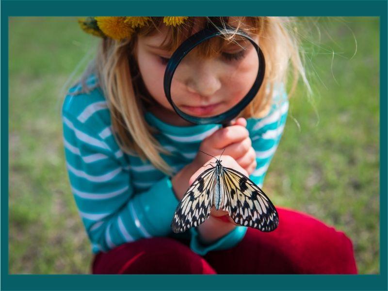 A young child with a magnifying glass closely observing a butterfly outdoors, symbolizing curiosity and discovery, with focus on painted lady butterfly migration and nature exploration.