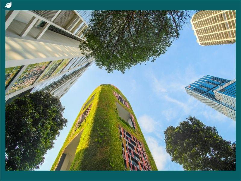 reen building covered with plants alongside modern skyscrapers, highlighting the importance of sustainability in business and society.
