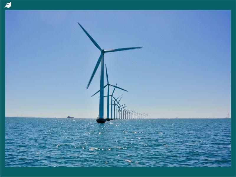 Offshore wind farm with rows of turbines in the ocean, showcasing innovation and progress in advocating for renewable energy and clean power generation.
