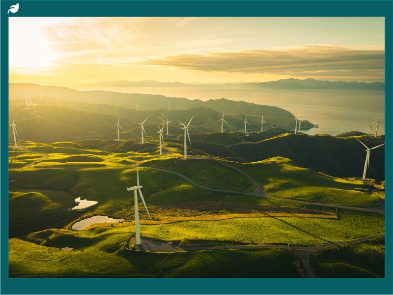 Wind turbines across rolling green hills at sunset, symbolizing progress in advocating for renewable energy and sustainable power solutions."