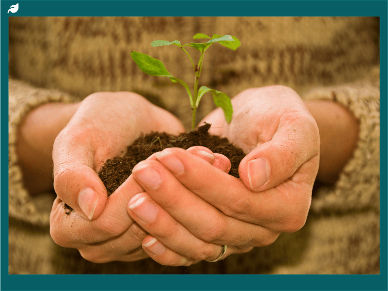 Hands holding soil with a small green plant, symbolizing sustainability, growth, and awareness of fracking environmental impacts and energy future.