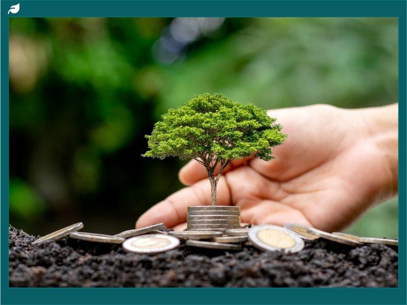 Hand nurturing a tree growing from coins in soil, symbolizing sustainability definition and three pillars of environmental, social, and economic growth.