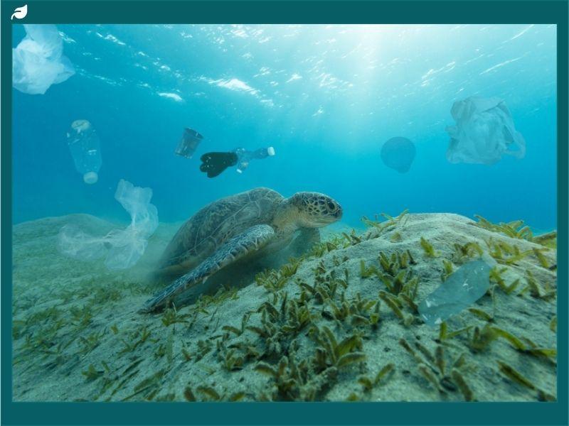 Sea turtle swimming near ocean floor surrounded by plastic pollution, highlighting environmental threats and important facts about turtles in marine conservation.