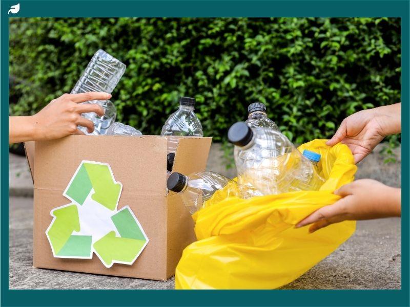 Hands placing plastic bottles into a recycling box with a green symbol, representing waste management and sustainability, connected to the debate on is nuclear energy renewable and safe for the environment.