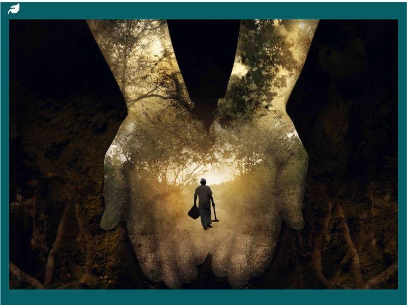 A surreal artwork showing a person walking along a forest path framed within two cupped hands, symbolizing protection, care, and the connection between humanity and nature.