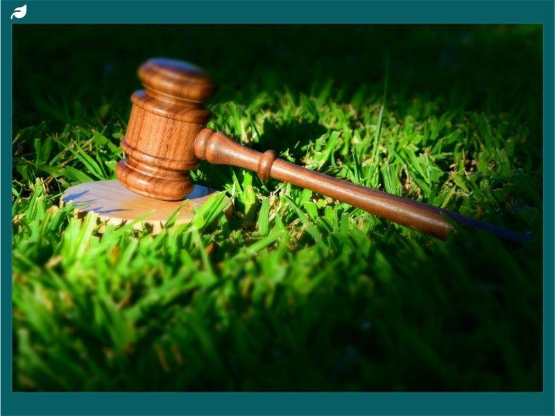 Wooden gavel resting on green grass, symbolizing the environmental justice movement and the intersection of law, equity, and ecological protection.