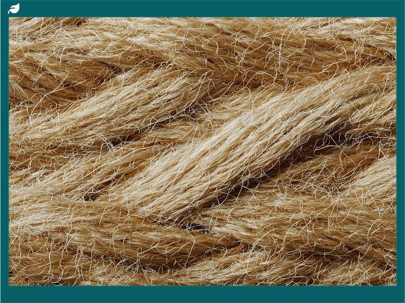Close-up texture of Tencel fabric made from sustainably sourced wood pulp, highlighting its smooth, eco-friendly fibers known for softness, breathability, and biodegradability.