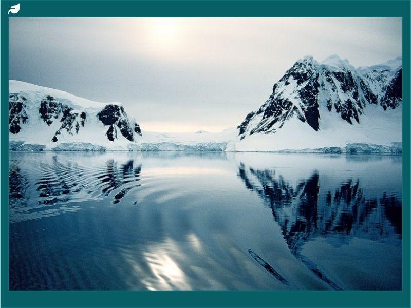 CCAMLR Deadlock Highlights Divide Over Antarctic Protection