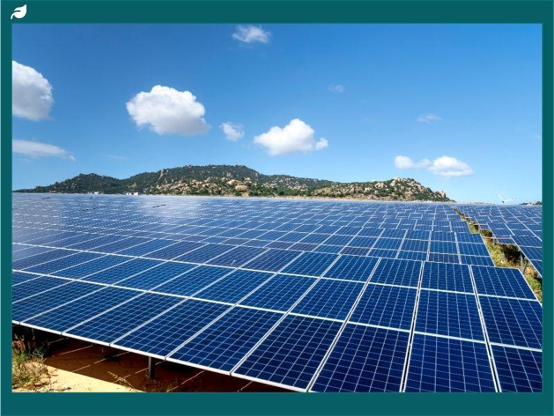 Large solar panel field under a clear blue sky, representing renewable energy storage solutions compared in the LG Chem vs Tesla Powerwall 2 debate.