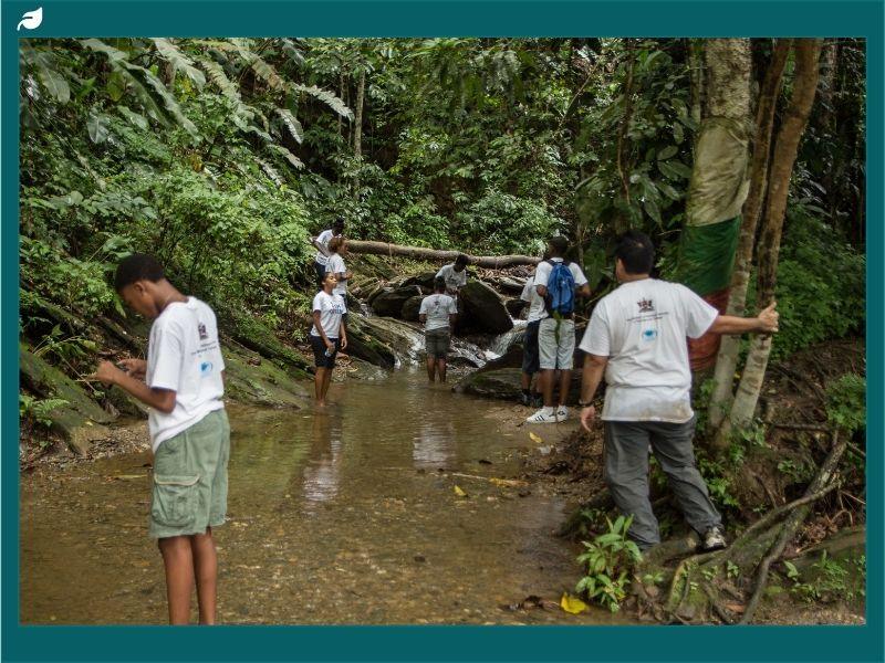 Sustainability Through Creativity