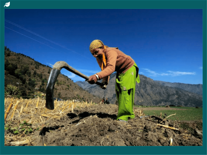 Private Sector Steps Up Commitment to Ze...