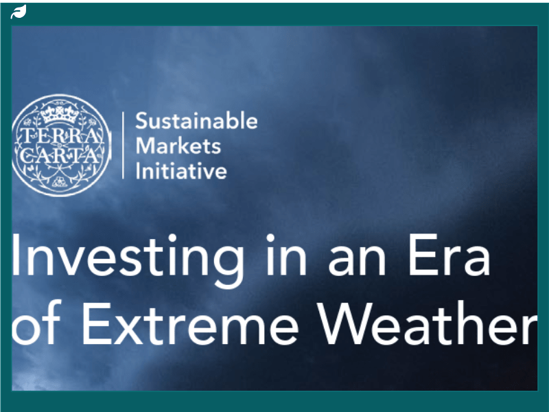 The SMI report title investigating climate risks to asset portfolios