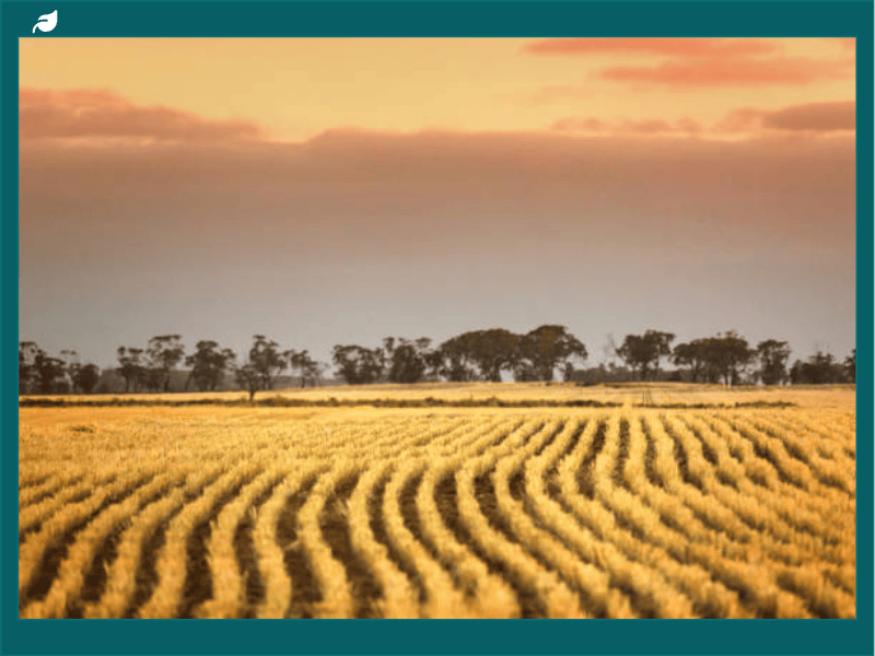 How to Run a Sustainable Farm in 2026...