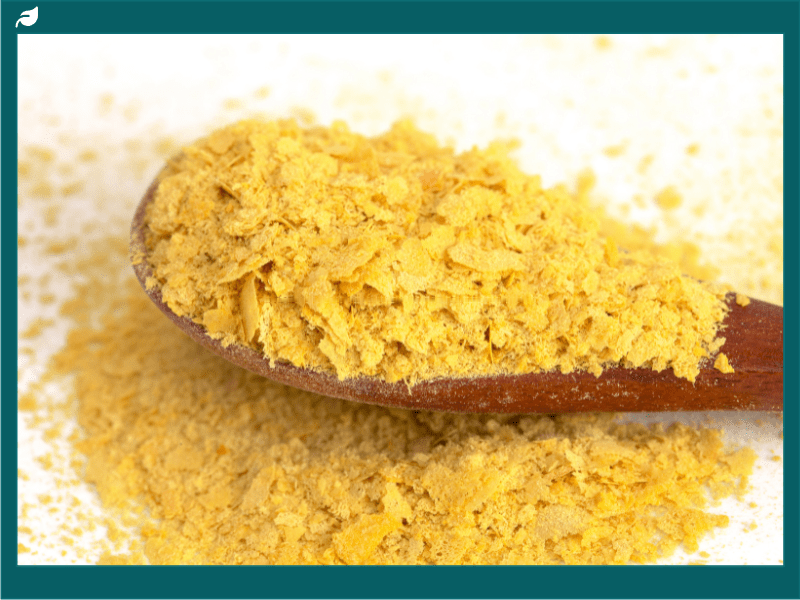 Golden nutritional yeast flakes piled on wooden spoon