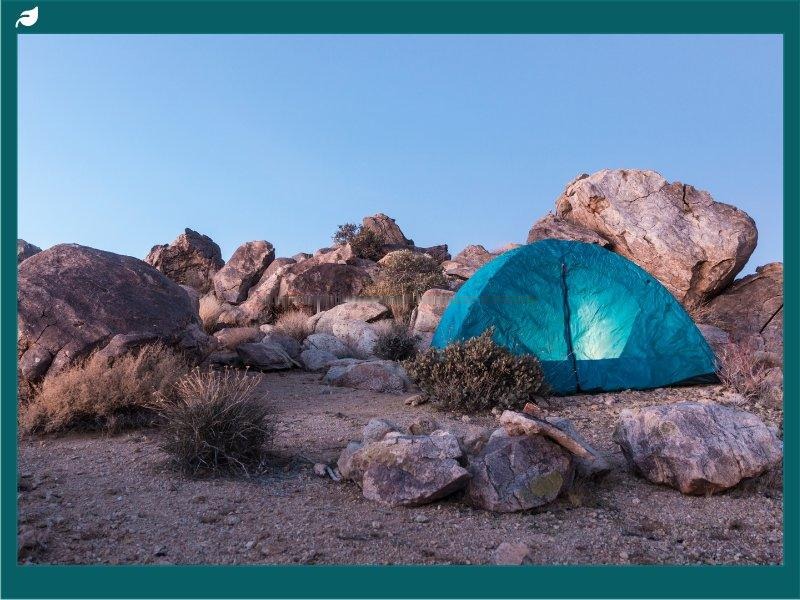 Camping in Joshua Tree National Park