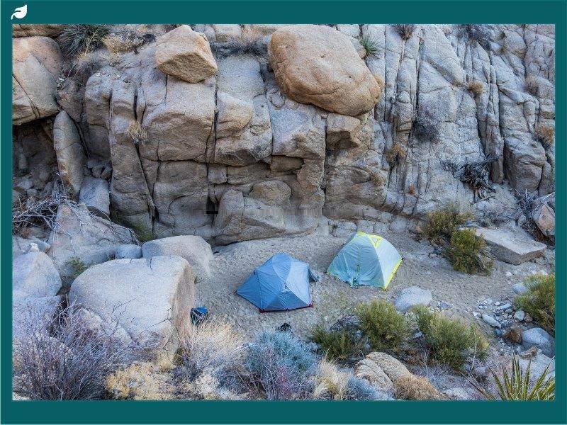 Backcountry camping in Joshua Tree National Park