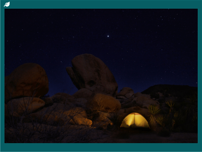 Night Camping in Joshua Tree National Park