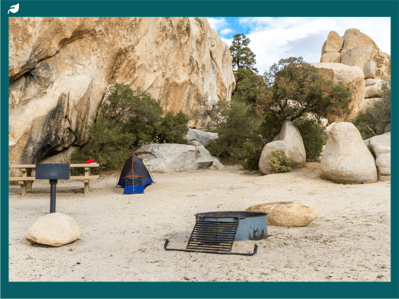 Joshua Tree Campsite