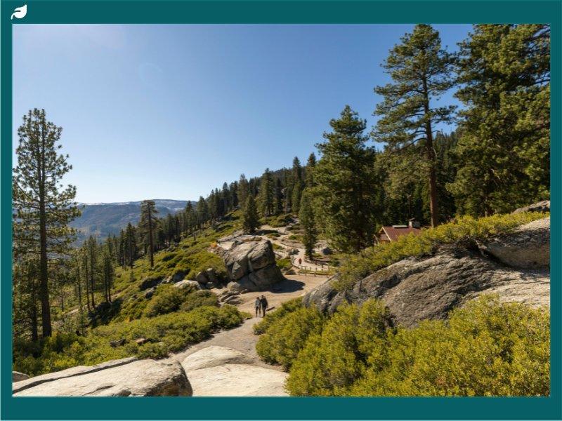 The 5 Best National Parks in California You NEED To Visit [2026 Update]