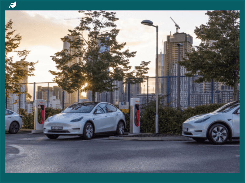 Elon Musk Out at Tesla: What’s Really Happening at the Top