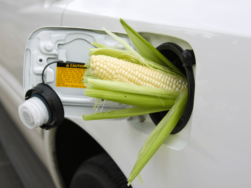 Corn ethanol