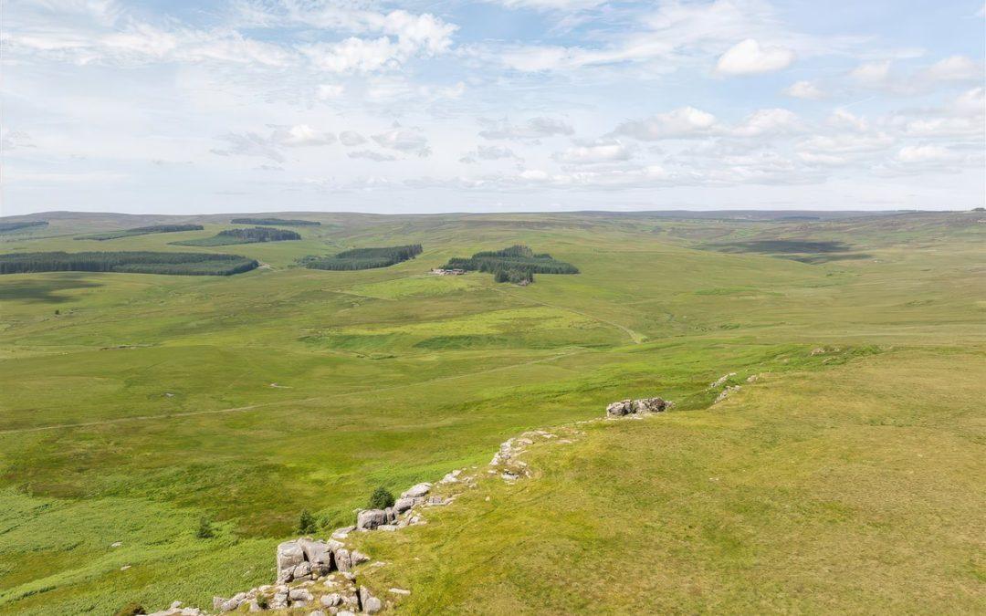 Triodos Bank Finances Northumberland Nature Restoration Estate