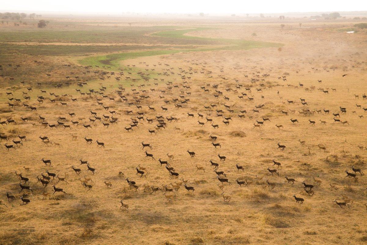 South Sudan Wins First UNESCO World Heritage Site Listing