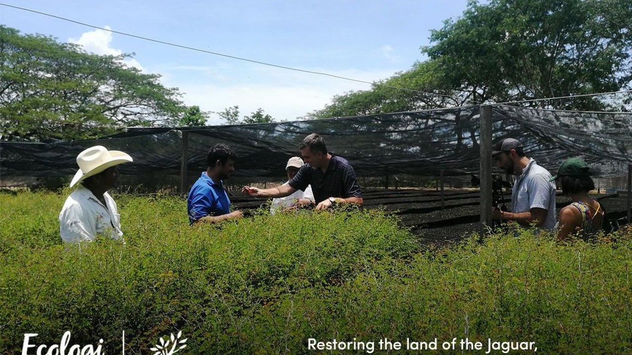 Five people inspect plants in a shaded outdoor nursery surrounded by dense vegetation.