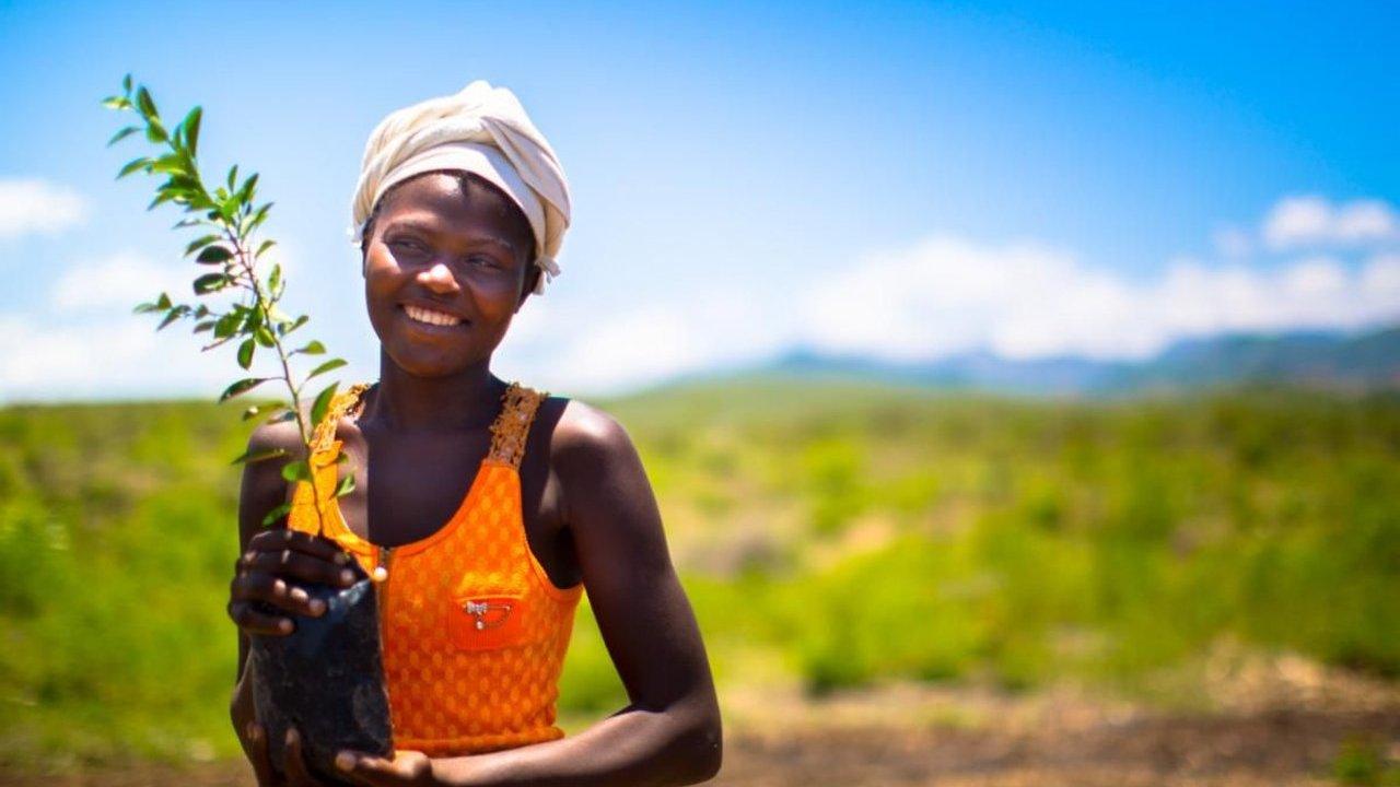 Smiling woman holding a young tree in a nursery bag in a green field.