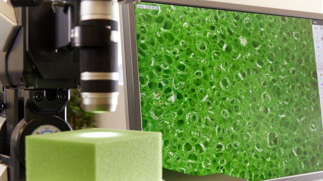 Vita Backs Sustainable Automotive Polymers Chair