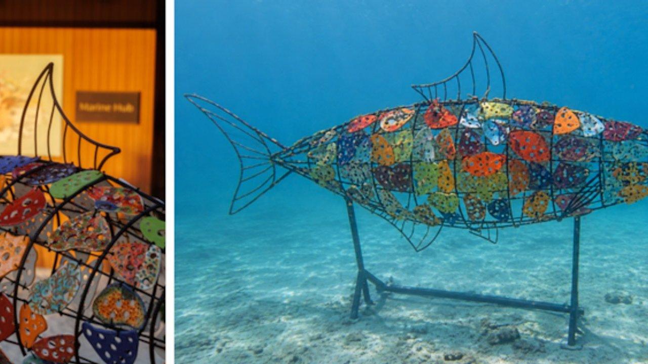 Colorful fish-shaped wire sculptures, shown indoors and underwater on the seabed.
