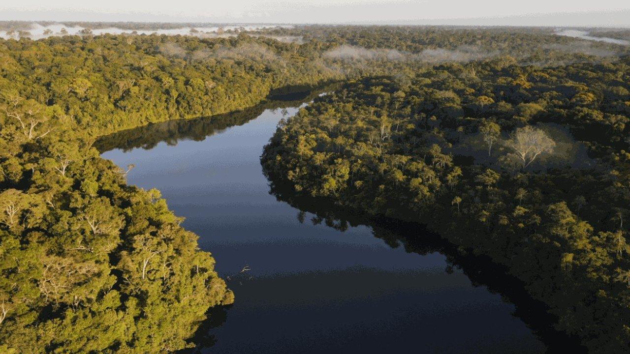 A winding river through dense tropical rainforest with low mist above the treetops