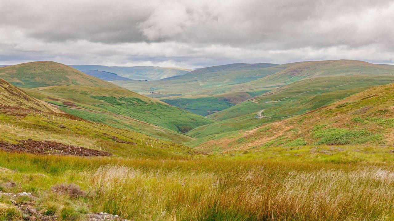 Rolling green hills and a grassy valley beneath a cloudy sky
