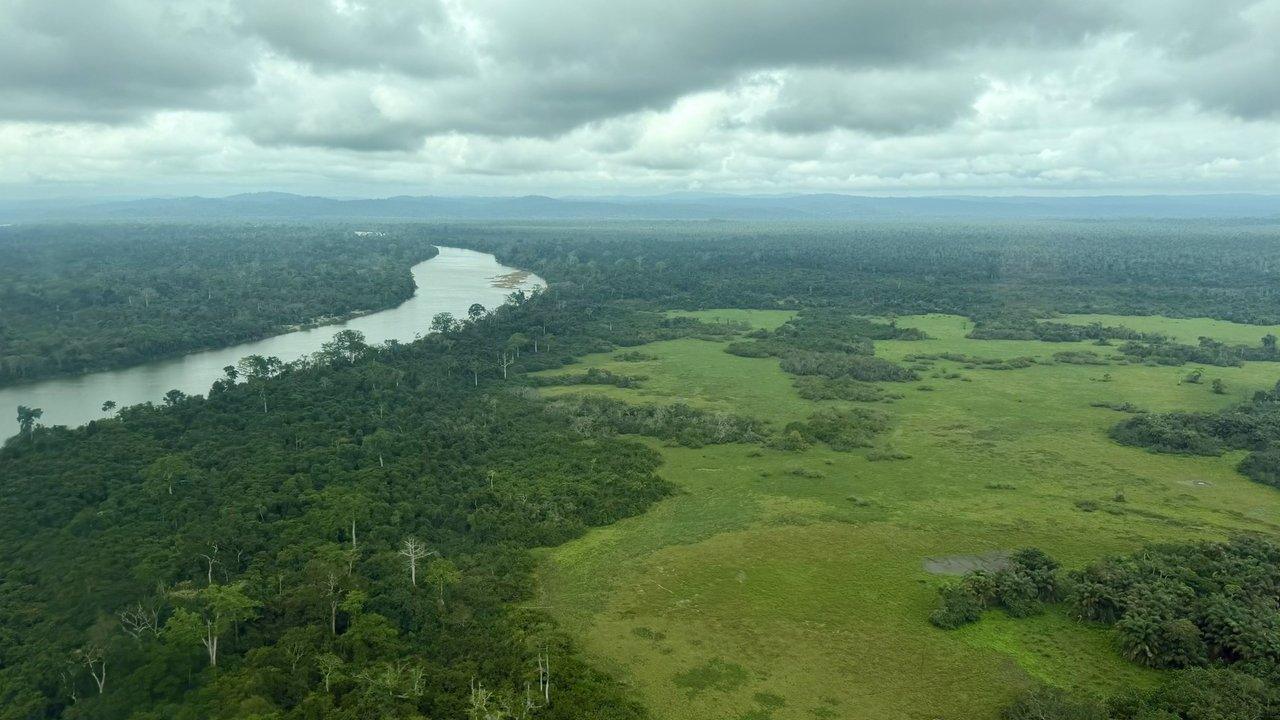 A winding river through dense rainforest and green wetlands under cloudy skies